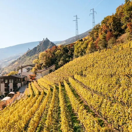 Weingut&Genusshotel Spitalerhof Superior-3